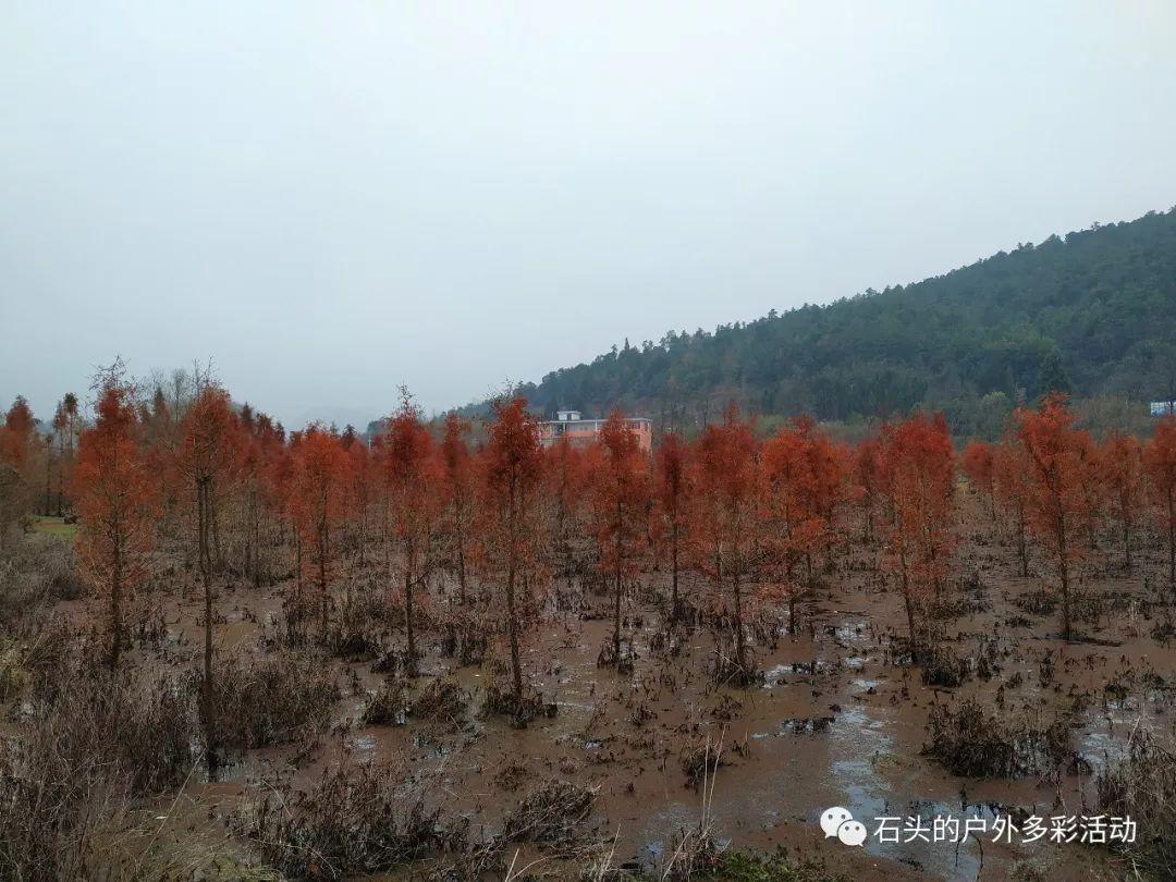 10元车费误付了14万误付巨额车费背后的故事，10元车费如何误付成14万？