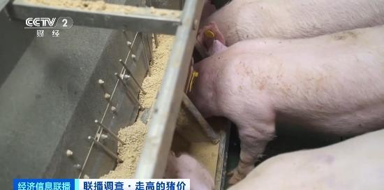 养殖户养一头猪亏36元养殖户养一头猪亏损背后的故事，深度解析与应对策略