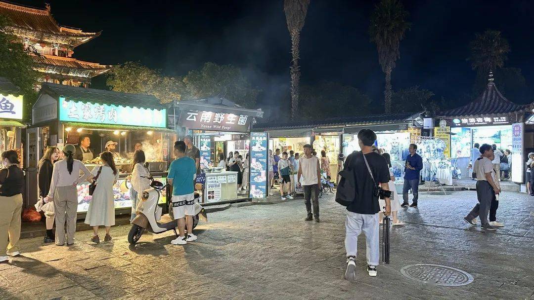 大理整治“采菌游”大理整治采菌游，守护苍山生态与旅游秩序