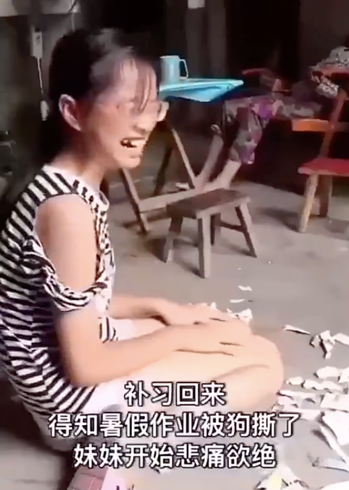 狗撕了暑假作业小孩哭的图片我理解您可能在寻找一张特定的图片，即狗撕了暑假作业小孩哭的图片。