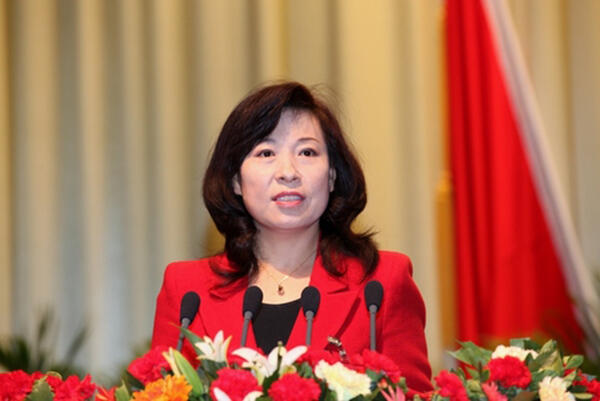 王莉霞辞去内蒙古自治区政府主席职务王莉霞辞去内蒙古自治区政府主席职务，一个时代的结束与新篇章的开启